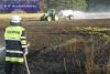 Bild-Nr. 49 Mittelbrand